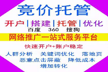 案例研究：关键词推广费用与ROI的关系